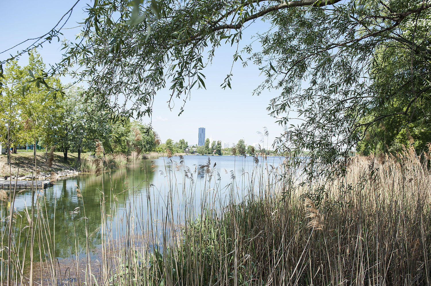 Pilgern in der Bundeshauptstadt