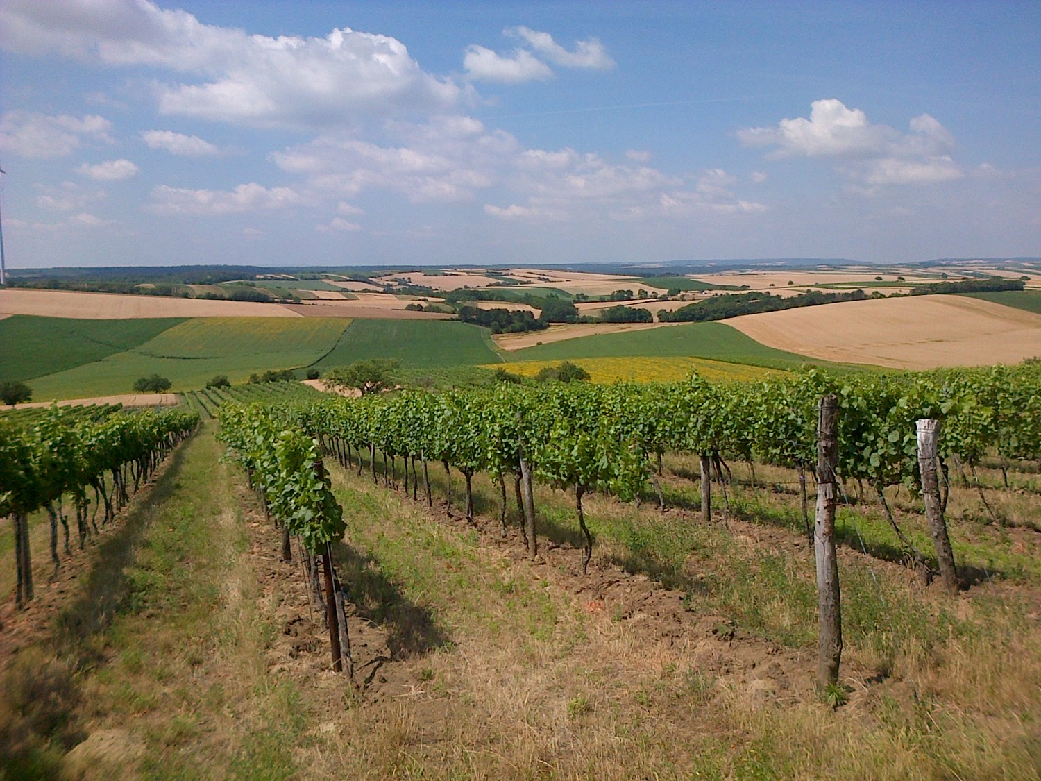 Franziskusweg Weinviertel