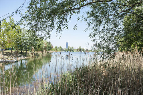 Pilgern in der Bundeshauptstadt